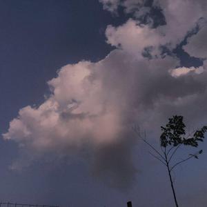 苍井空被叉动态图
